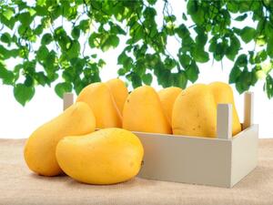 Omanis are incredibly excited about mango season. (Shutterstock)