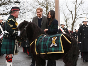 الأمير هاري وخطيبته ميغان ماركل مع المهر كروتشان (twitter.com/KensingtonRoyal)