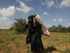 A Palestinian woman works on a field in Beit Hanun in the northern Gaza Strip on April 4, 2013. (AFP PHOTO/MOHAMMED ABED)