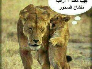 هههههههههه