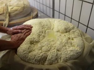 Cheese from markets in Taiz as Awshaqhi cheese as well as Arafi is the most popular nationwide and sold abroad to Gulf states.