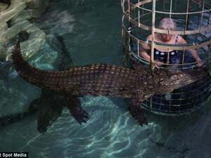 شكلو التمساح انفتحت نفسه عليها