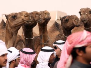 The event has already seen deals worth several million riyals. [Getty Images]