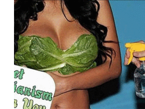 مايوه من الخس الطبيعي