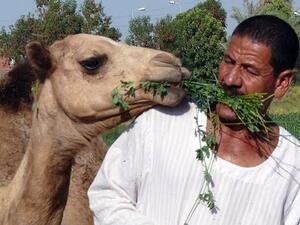 تعبيرية