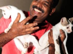 Ebrahim feeds stray cats every day after work. (EXPRESS/AHMED KUTTY)