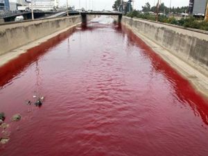 The reason behind the Beirut River's red color remains a mystery. (Image source: "saidaonline.com") The reason behind the Beirut River's red color remains a mystery. (Image source: "saidaonline.com")