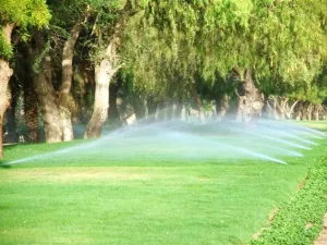 The project also aims at providing treated effluent to be used in irrigation and planting purposes