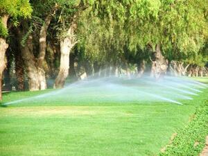 The project also aims at providing treated effluent to be used in irrigation and planting purposes
