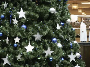 Hundreds of fir trees are being shipped from Canada, much to the delight of Dubai's denizens. 