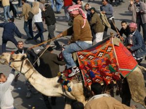بلطجية النظام 