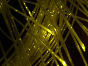 Lebanon has secured the missing link that might generate faster internet services, via a submarine cable.