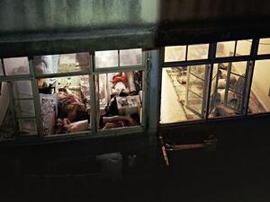 An installment of Goerge Awde's "Windows" exhibition (Photo from therunninghorseart.com)