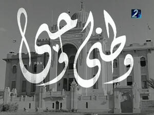 وطني الذي أريد. وطني الذي أريد.