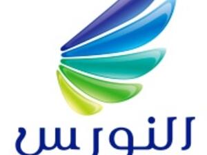 النورس