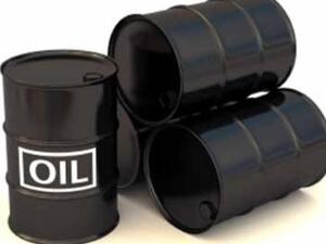 The Iranian administration has set oil price to $100 per barrel in the next year’s national budget bill, IRNA quoted Iranian MP Ja’far Qaderi as saying on Sunday.