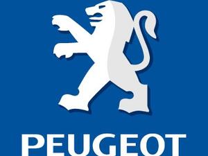 Iran was formerly Peugeot's second largest market by volume and one in four cars in the country carries the Lion brand.