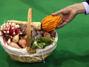 Ramadan is not a time to think of losing weight but being calm and healthy, advises Arab News.
