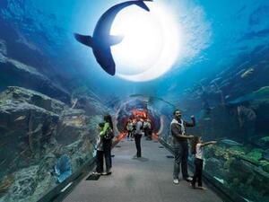 Ramadan offerings across Emaar Retail