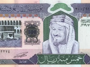 شدد البنك الدولي على ضرورة بذل جهد من قبل دول المنطقة، لتعزيز قدراتها على المنافسة على الصعيد الدولي، وتشجيع المزيد من استثمارات القطاع الخاص المحلية والأجنبية منها على حد سواء، من خلال انتهاج إصلاحات هيكلية بعيدة الأثر لتحسين مناخ الاستثمار، وتحقيق التكامل مع التجارة العالمية