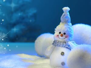 People living in the UAE are spending as much as $13,000 on setting up a white Christmas on their private properties - faux snow, snowmen and frosted plants all included! (Image courtesy of freefever.com)