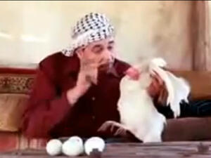 ابو 15 بيضة