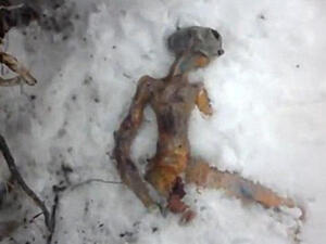 المخلوق الفضائي