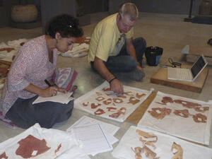 During routine archaeological research, a collection of 300 leather fragments of an Old Kingdom chariot were uncovered at the Egyptian Museum in Cairo.