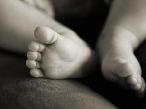 The pitter patter of tiny feet