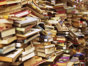 Books are expected to fly off the shelves at the 44th Cairo Book Fair this month