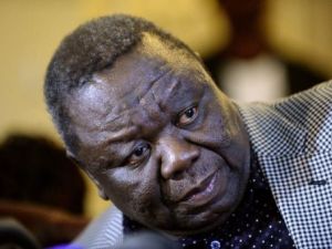 حزب تشانغيراي يطعن رسميا بنتائج الانتخابات الرئاسية في زيمبابوي