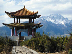 Trade between the UAE and China has seen constant growth in the past years. (Image credit: ciee.org)