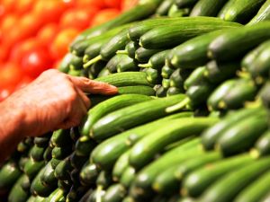 According to the Sheikh, men should handle vegetables such as cucumbers away from their women. According to the Sheikh, men should handle vegetables such as cucumbers away from their women.
