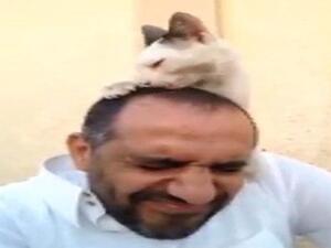 القطة وصاحبها