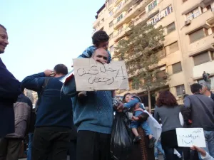 القضية في مجلس الامن 