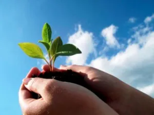 "Eye on Earth" presents a timely opportunity to identify practical measures to bridge the environmental knowledge gap