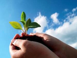 "Eye on Earth" presents a timely opportunity to identify practical measures to bridge the environmental knowledge gap