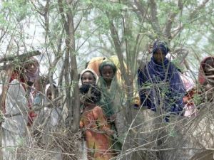 البشير يأمر بفتح الحدود مع جنوب السودان