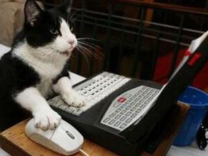 بدي شيء بسه بعد ما راح شباط