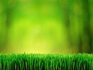 
Saudi Energy 2014 will serve as an ideal platform for energy professionals, government officials, investors and both local and regional buyers.