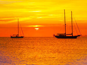 They urged the EBRD “to reject the loan, or at least postpone its decision”