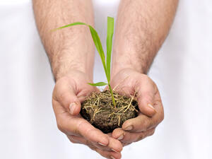 The level of financial exclusion in MENA is particularly worrying given demographic and economic participation trends. The level of financial exclusion in MENA is particularly worrying given demographic and economic participation trends.