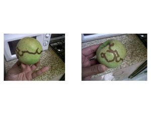 The message on the apple is yet to be deciphered. (7Days)