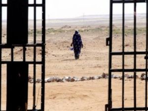 البوليساريو: قرار المغرب سحب ثقته من كريستوفر روس "لا اساس له"  البوليساريو: قرار المغرب سحب ثقته من كريستوفر روس "لا اساس له"