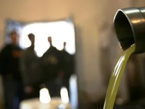 Israel-Palestine's oil dispute, where it's all about the olives (Arabic: Zeitoun).