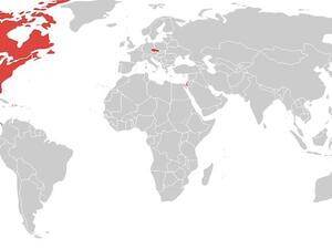 The red masses who said NO to Palestine's journey to upgrade its place on the UN charter of member-states (Image courtesy of Washington Post) The red masses who said NO to Palestine's journey to upgrade its place on the UN charter of member-states (Image courtesy of Washington Post)