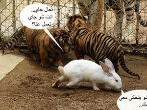 ايه ده يا راجل؟