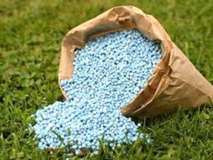 ان دعم ورعاية الصناعة المحلية يعتبر قضية وطنية بامتياز كون القطاع الصناعي هو الأقل تأثرا بتداعيات الأزمة المالية والاقتصادية العالمية