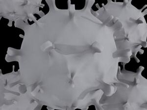 The SARS virus in close-up