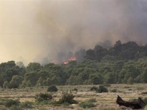 دخان يتصاعد في المنطقة المحيطة بجبل الشعانبي قرب الحدود الجزائرية